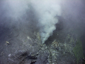 Weißer Raucher in der der Bismarcksee