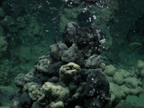 Methanblasenaustritt an Kalkschloten im Schwarzen Meer 