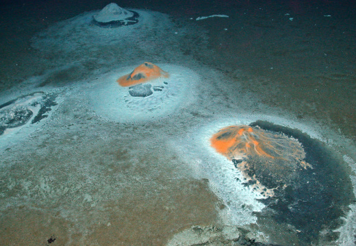 Fotos unter CC-Lizenz